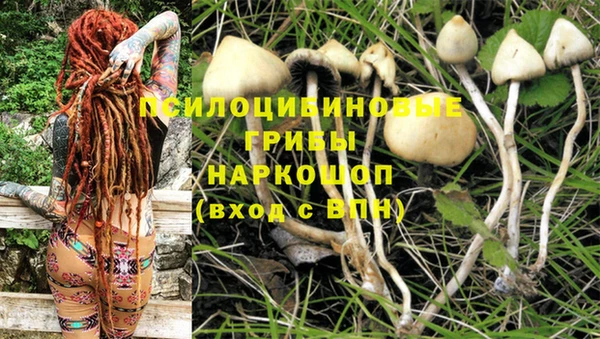 mix Белокуриха