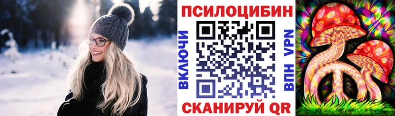 закладки  Верхотурье  Галлюциногенные грибы мицелий 